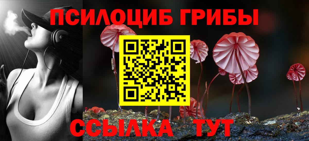 Алушта  Псилоцибиновые грибы Psilocybe  Вход с VPN 